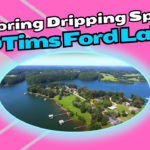 Dripping Springs Tour at Tims Ford Lake